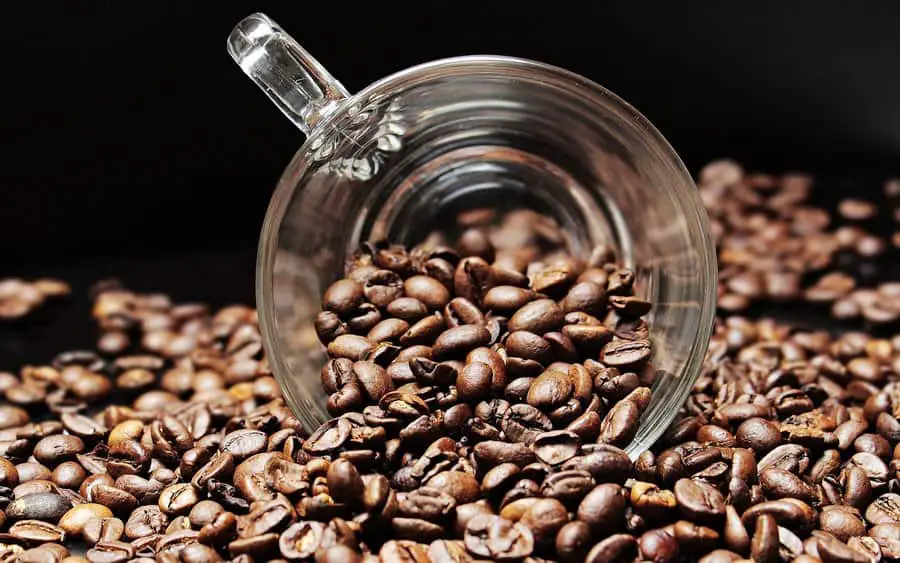 Learn How to Cup Coffee