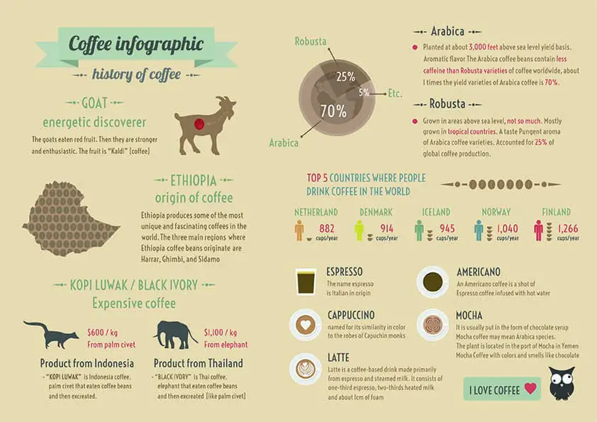 History of Coffee Infographic
