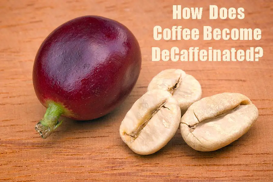 How is Decaffeinated Coffee Made?