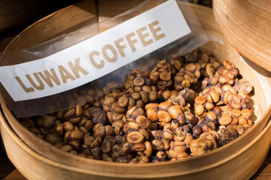 Kopi Luwak Coffee