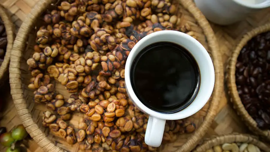 Kopi luwak or civet coffee