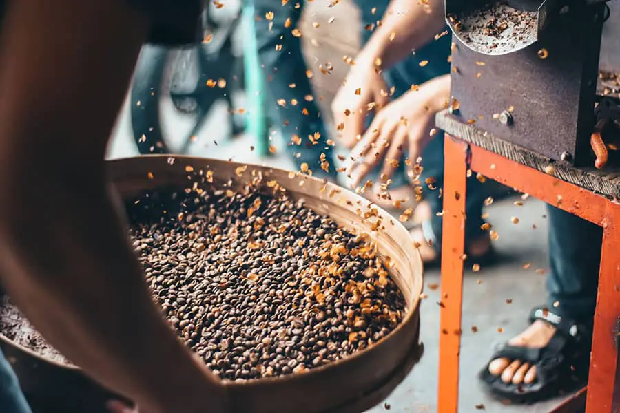 Kopi luwak or civet coffee