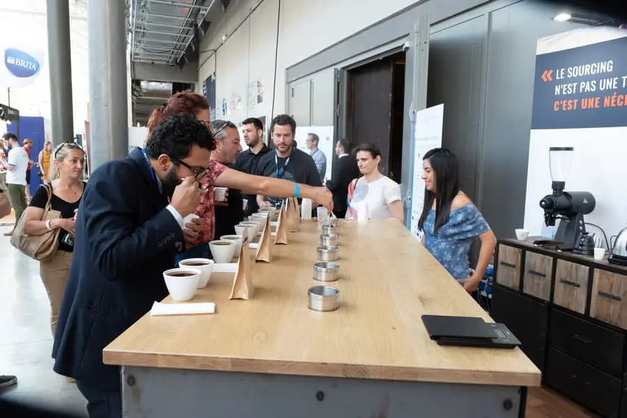 How To Do a Coffee Cupping