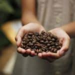 Coffee wave