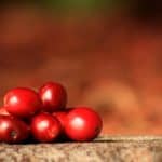 Peaberry Coffee