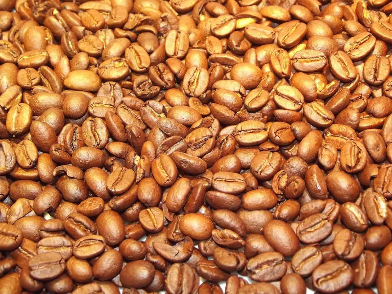 White coffee beans