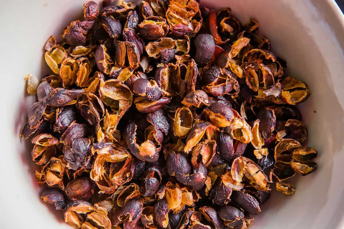 Featured image for “What Is Cascara? Your Guide to Coffee Cherry Tea”