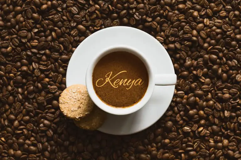 Kenya Coffee A Deep Dive To Its History, Brewing and More Craft