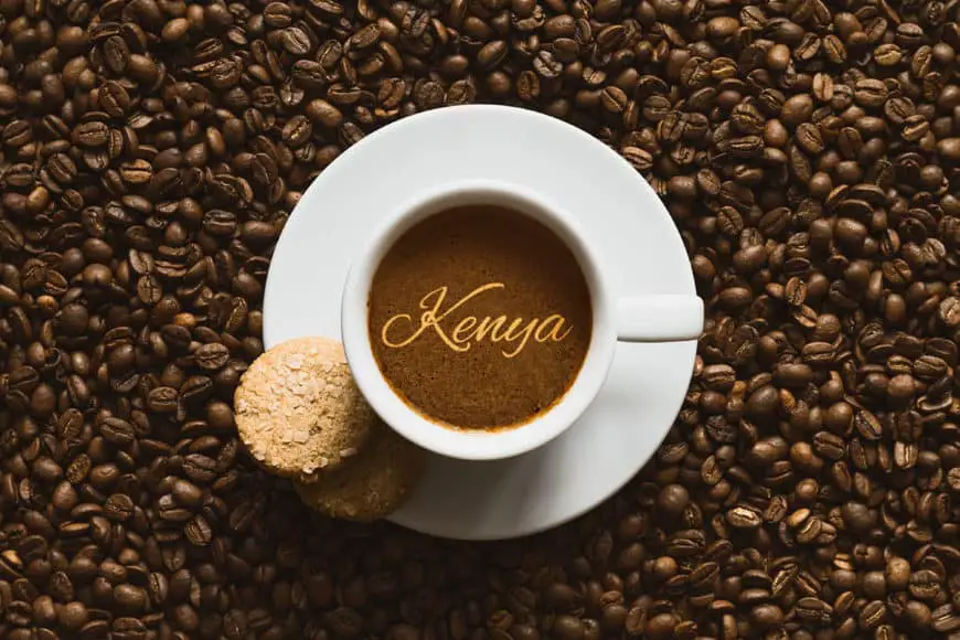 All About Kenya Coffee