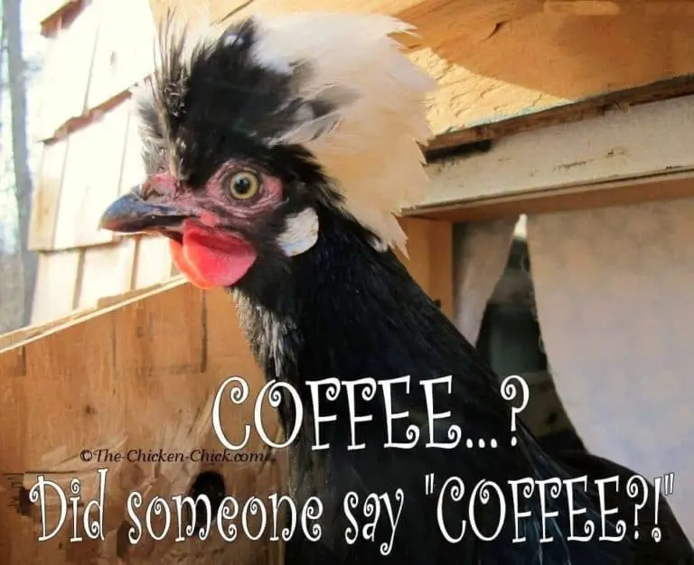 29 Funny Coffee Memes Every Caffeine Lover Will Relate To