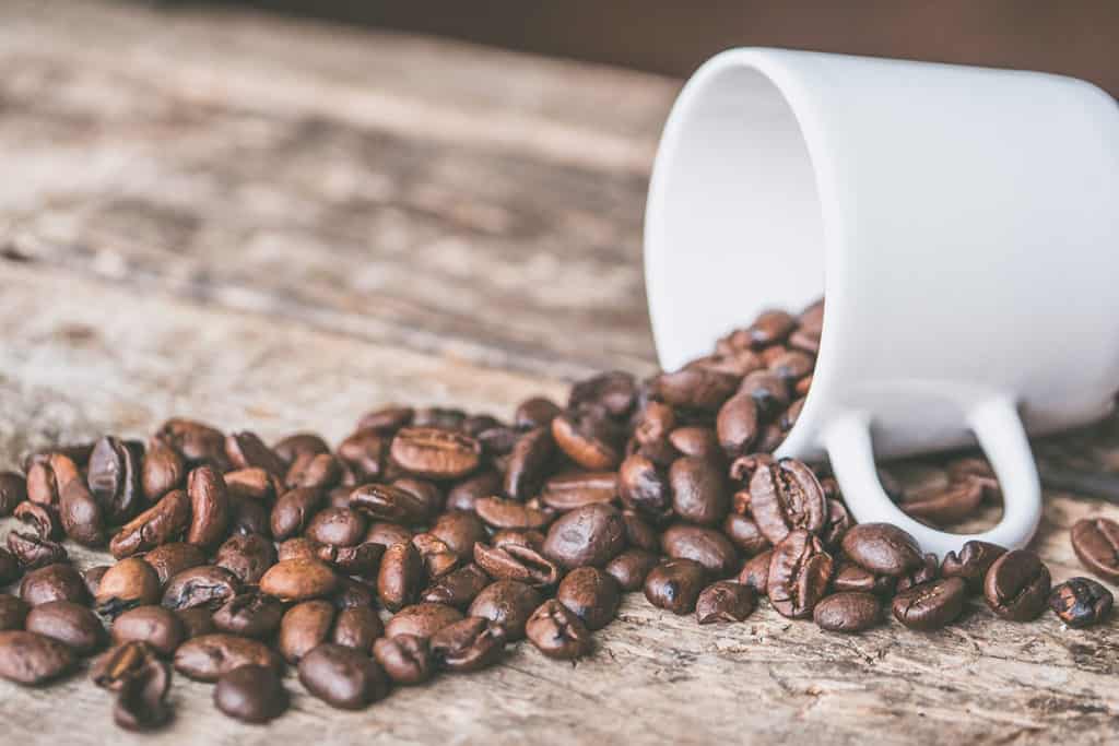 Coffee Acidity