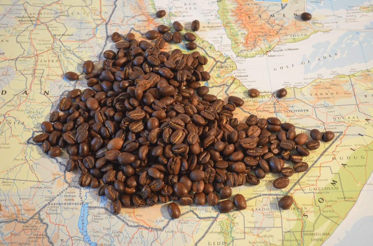 Featured image for “Yemen Coffee Guide: Exploring the World’s Oldest Beans”