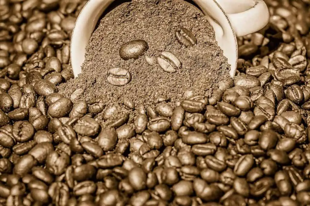 Whole Bean vs Ground Coffee