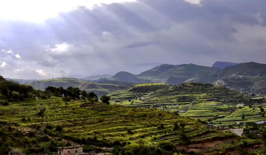 Coffee From Yemen Why is it so expensive? Craft Coffee Guru