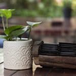 Coffee Leaf Tea