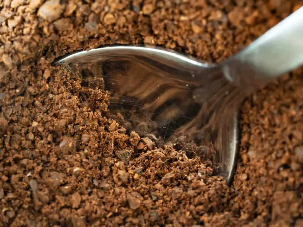 Instant vs Ground Coffee: What are the Differences?