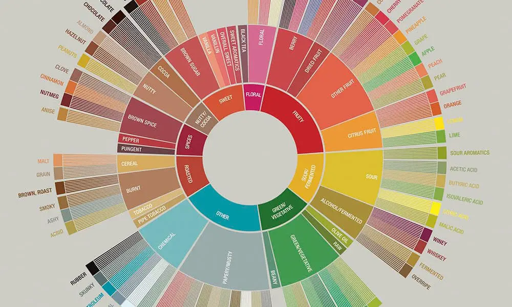 A Starters Guide to Coffee Flavor Profiles of the World