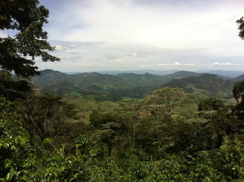 A Guide for Coffee from Nicaragua