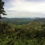 Nicaragua Coffee